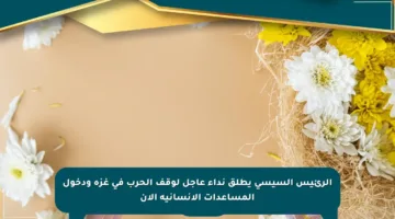 الرئيس السيسي يطلق نداء عاجل لوقف الحرب في غزة ودخول المساعدات الإنسانية الآن